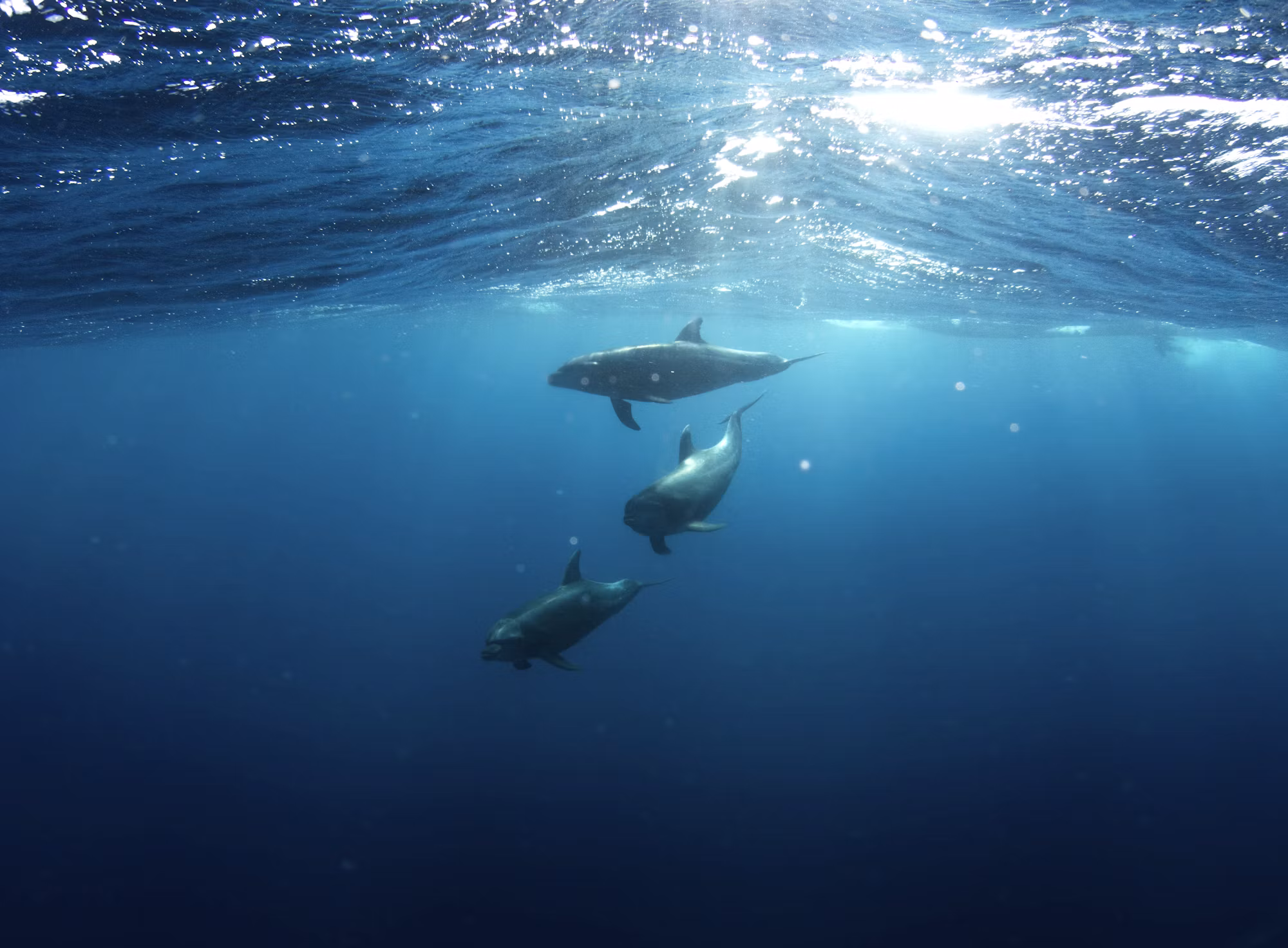 Exploring the Enchanting Inland Seas: Hidden Gems of the World’s Waterways